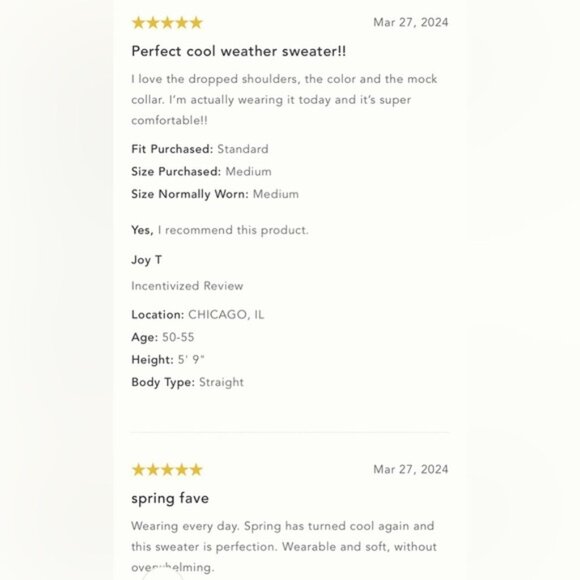 NWT Size S P2P 26inchThe NeedIt Oversized Mock Neck Sweater - Picture 9 of 16